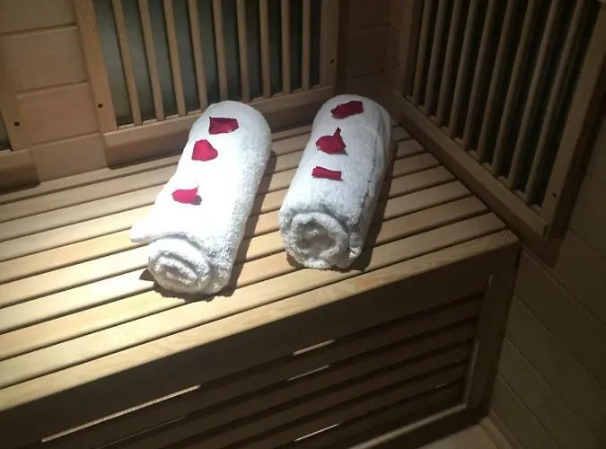 莱欧弗公寓 里昂